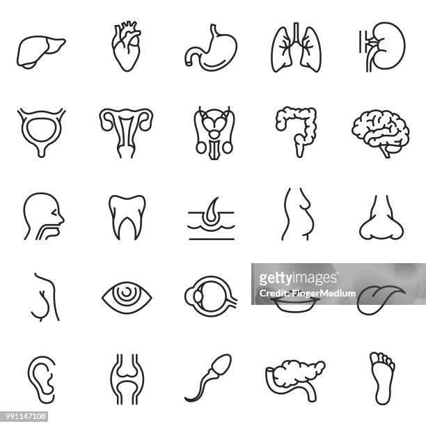 human organs icons - sperm stock illustrations