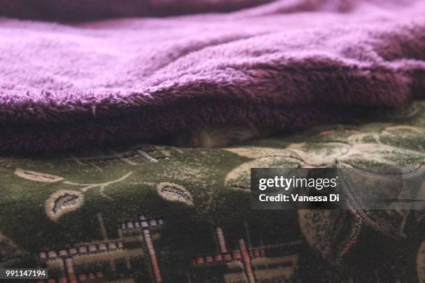 cute :3 - hood ornament stock pictures, royalty-free photos & images