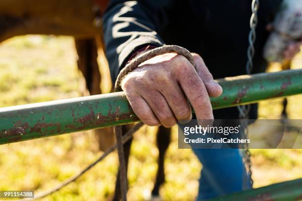 close-up van ranchers ruwe hand op een poort met een rein - rancher stockfoto's en -beelden