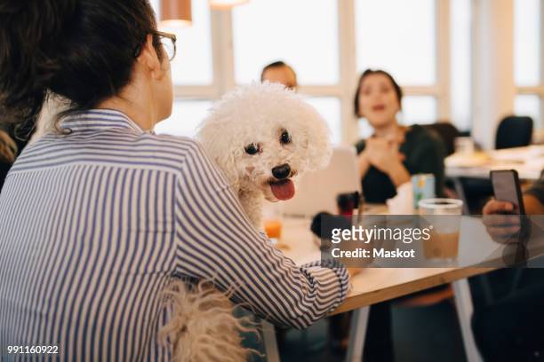 rear view of businesswoman sitting with dog while sitting at desk in creative office - office dog stock pictures, royalty-free photos & images