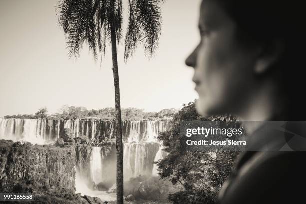 palm trees at iguazu falls. puerto iguazú. argentina. - iguazú stock pictures, royalty-free photos & images