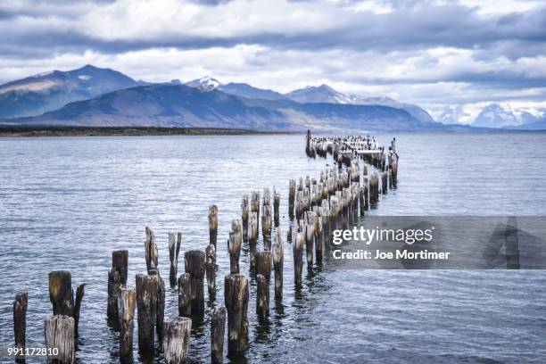 puerto natales - puerto natales stock pictures, royalty-free photos & images