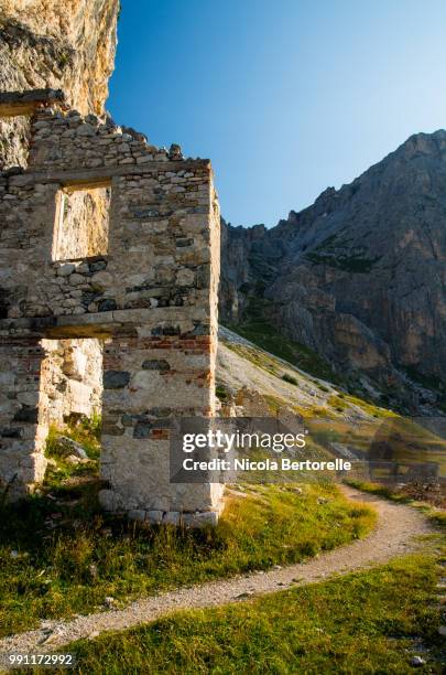 abandoned village - nicola tree imagens e fotografias de stock