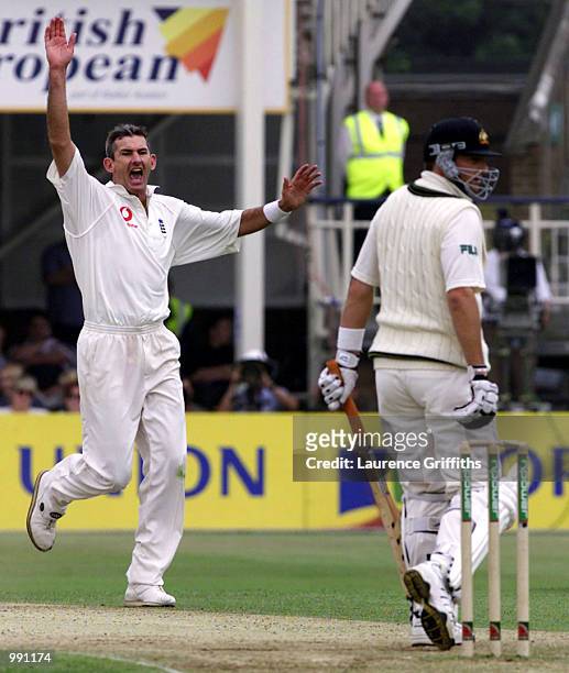 Andrew Caddick of England celebrates the wicket of Mark Waugh of Australia during the 2nd day of the npower Ashes first test match between England v...