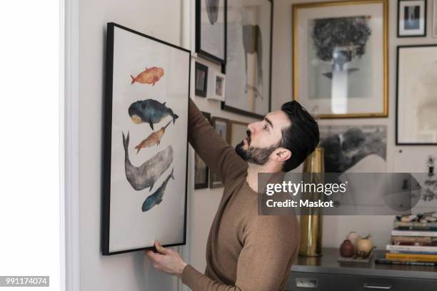 young man hanging painting on wall at home - draped stockfoto's en -beelden