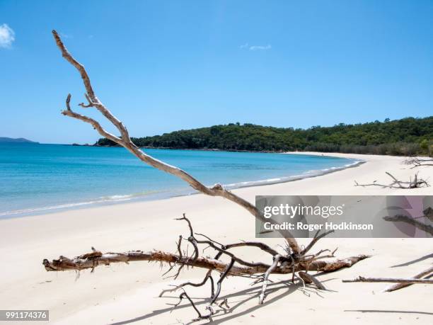 great keppel island beach queensland australia - keppel stock pictures, royalty-free photos & images