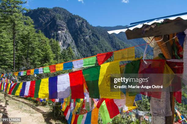 bhutan, buddhism flags near taktshang monastery - ange fotografías e imágenes de stock