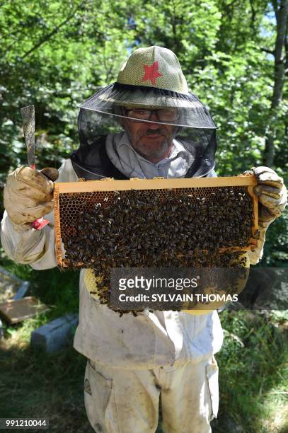 Beekeeper works on black bee hives in Pont de Montvert, Lozere, on June 25, 2018. Black bees, producing high qualified honey, are seen in the...
