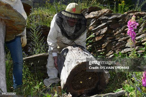 Beekeeper works on black bee hives in Pont de Montvert, Lozere, on June 25, 2018. Black bees, producing high qualified honey, are seen in the...
