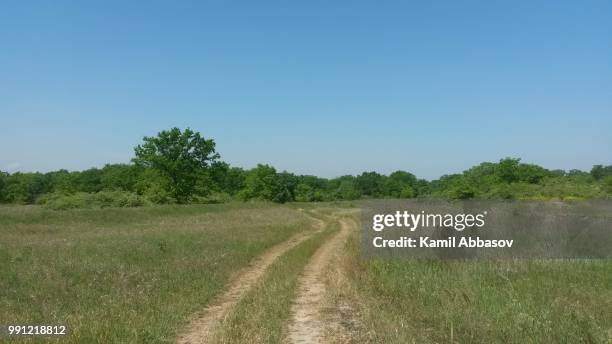 forest road in xachmaz,azerbaijan - 2014 track field stock pictures, royalty-free photos & images