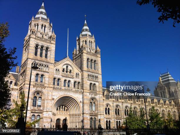 natural treasures - museum of london stock pictures, royalty-free photos & images