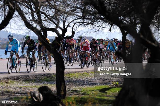 22Th Tour Of Mallorca 2014, Stage 4Ilustration Ilustratie/ Peloton Peleton/ Landscape Paysage/ Sea Mer/ Trees/Muro-Port D'Alcudia / Trofeo Mallorca/...