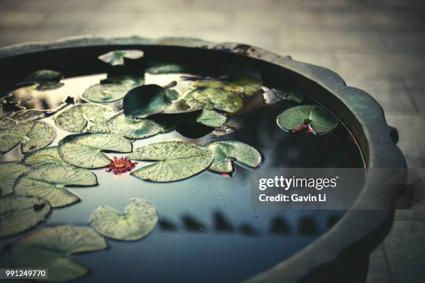 Peaceful High-Res Stock Photo