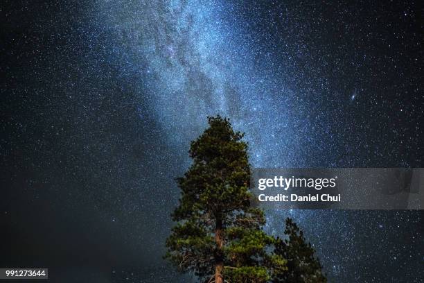 yosemite - bridge over merced - yosemite daniel stock-fotos und bilder