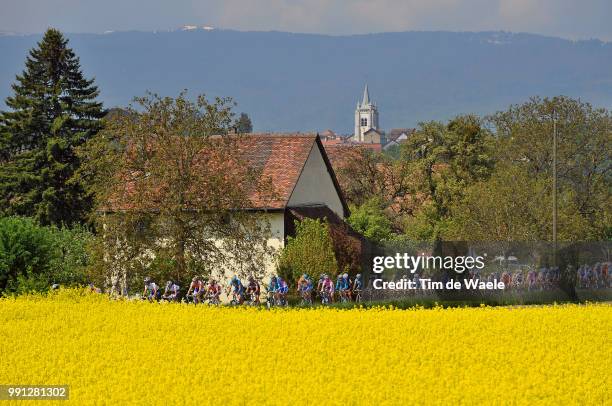 Tour Romandie 2009, Stage 5Illustration Illustratie, Peleton Peloton, Flowers Fleurs Bloemen, Landscape Paysage Landschap /Aubonne - Geneve , Ronde,...