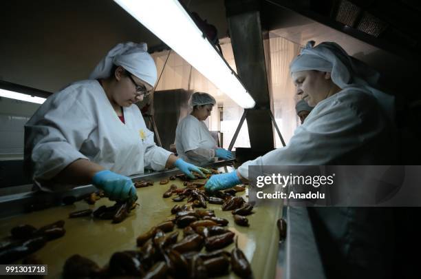 Plant workers put jalapeno peppers on a machine to start to pickle them at a processing plant that is found in Menemen district of in Izmir, Turkey...