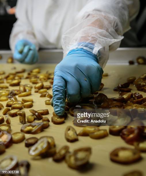 Plant workers put chopped jalapeno peppers on a machine to start to pickle them at a processing plant that is found in Menemen district of in Izmir,...