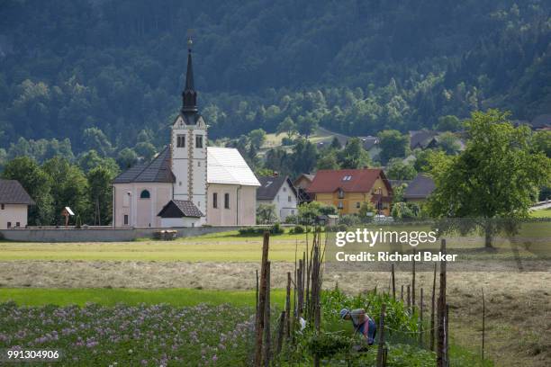 32 Bohinjska Bela Stock Photos High Res Pictures And Images Getty 32-bohinjska-bela-stock-photos-high-res-pictures-and-images-getty