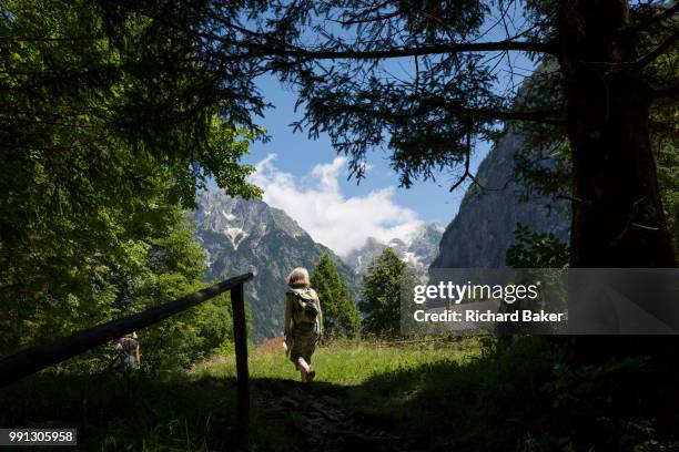 Walker emerges into sunlight in the Triglavski Narodni Park in the Slovenian Julian Alps, on 22nd June 2018, in Trenta, Triglav National Park,...