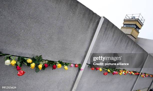Teenagers put roses into the wall segments at the Berlin Wall Commemoration Site at Bernauer Strasse in Berlin, Germany, 9 November 2017. Teenagers...