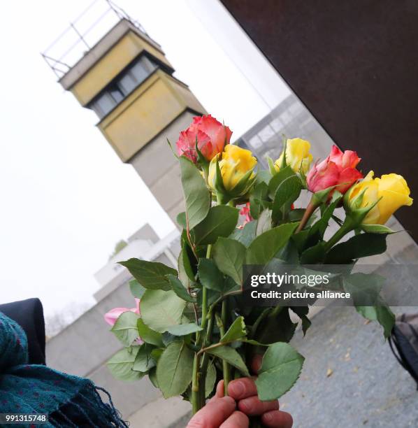 Teenagers put roses into the wall segments at the Berlin Wall Commemoration Site at Bernauer Strasse in Berlin, Germany, 9 November 2017. Teenagers...