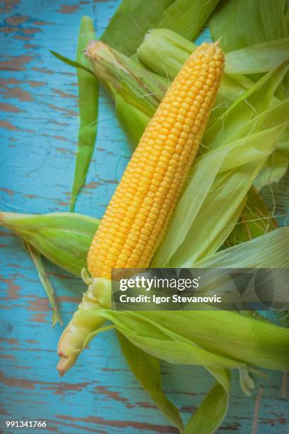 Maize (Color) Photos and Premium High Res Pictures - Getty Images