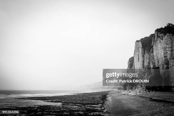 yport's cliffs - drouin stock pictures, royalty-free photos & images