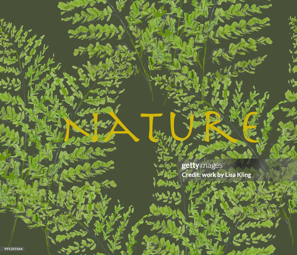 Nature Typography in Feathery Fern Woodland