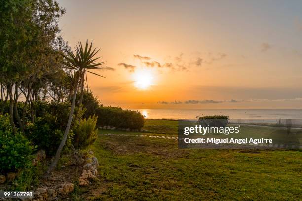 amanecer - amanecer stock pictures, royalty-free photos & images