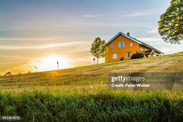 country house - farm norway stock pictures, royalty-free photos & images