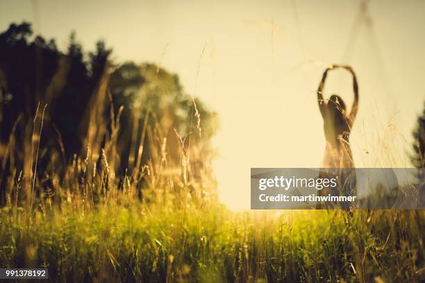 vrouwen in de zonnige avondlucht in de natuur - martinwimmer stockfoto's en -beelden