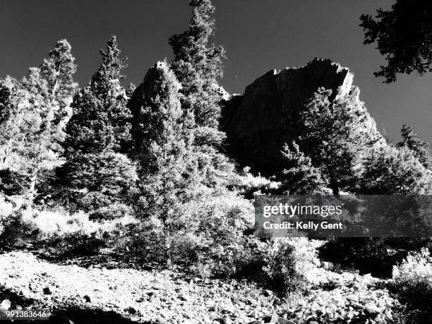 mallette canyon contrast - malette stock pictures, royalty-free photos & images