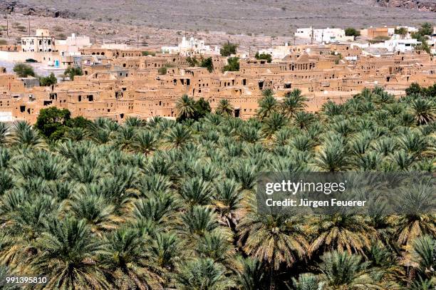 al hamra, town of old brick buidlings and palm oasis in the  jebel akhdar mountains - hamra stock pictures, royalty-free photos & images