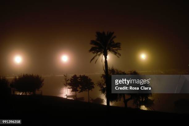 luces en la niebla - niebla 個照片及圖片檔