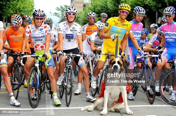 Tour De France 2009, Stage 16Pellizotti Franco Mountain Jersey, Schleck Andy White Jersey, Contador Alberto Yellow Jersey, Chien Dog Hond...