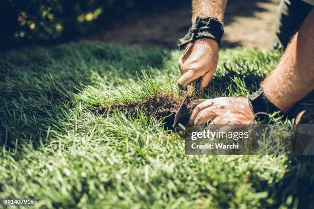 hands of senior man cutting rolled grass to fit - turf installation stock pictures, royalty-free photos & images