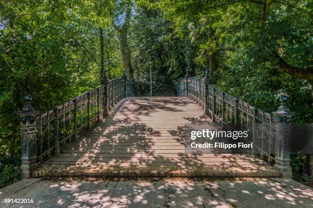 bridge in vondelpark - fiori fotografías e imágenes de stock