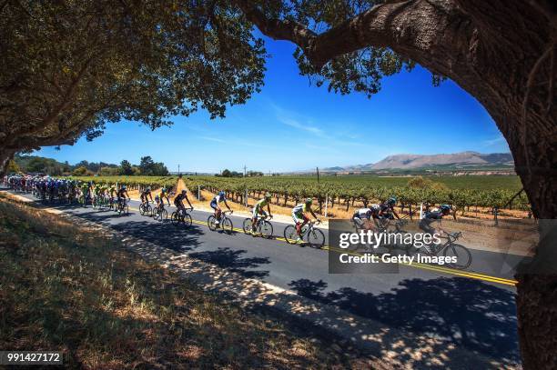 Tour Of California 2014/ Stage 5Ilustration Ilustratie/ Peloton Peleton/ Landscape Paysage/ Santa Maria Vineyard/Pismo Beach-Santa Barbara /Toc/...