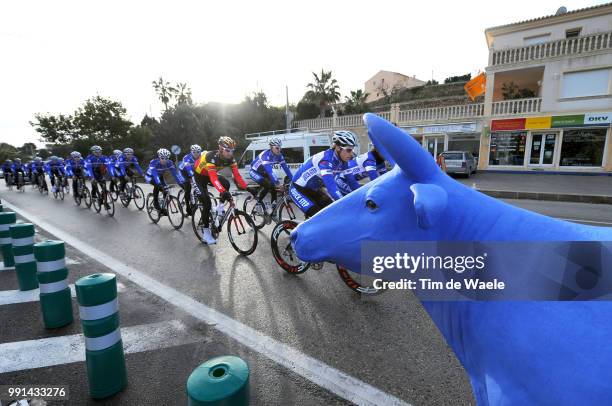 Team Quick Step Training 2010Illustration Illustratie, Koe Cow Vache, Tom Boonen / Equipe Ploeg, Tim De Waele