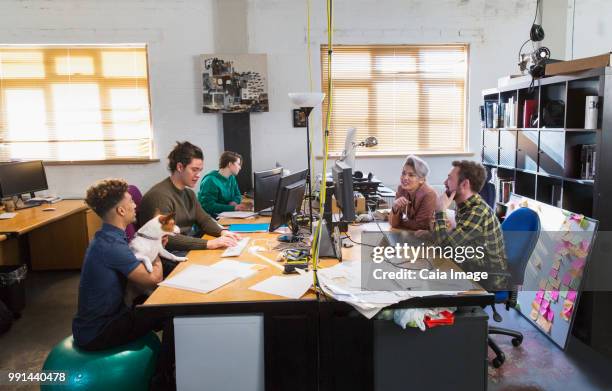 creative business people working, meeting at computers in open plan office - department of interior holds a take your dog to work day stock pictures, royalty-free photos & images