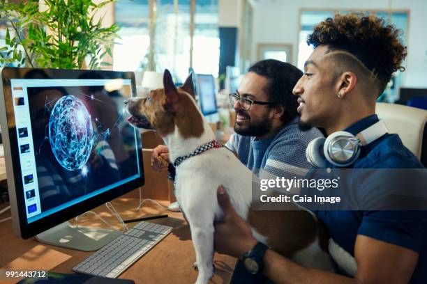 graphic designers with dog working at computer in office - crowdsourcing stock pictures, royalty-free photos & images