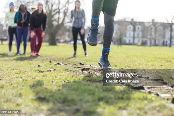 team cheering woman doing speed ladder drill in sunny park - agility ladder ストックフォトと画像