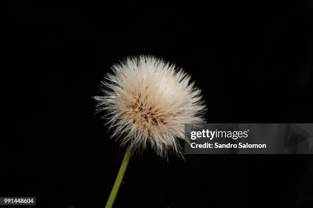 1,803 Withe& Stock Photos, High-Res Pictures, and Images - Getty Images