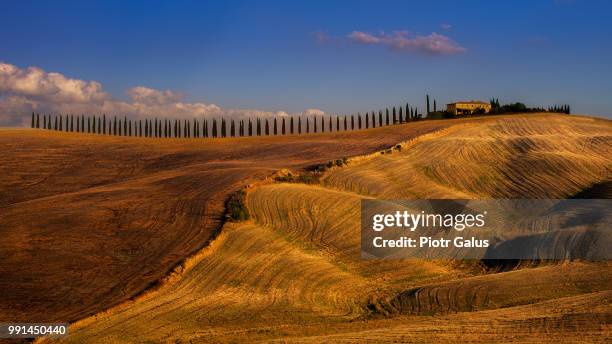 san quirico d'orcia,italy - san quirico d'orcia stock pictures, royalty-free photos & images