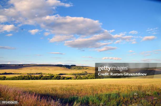 Outa Rustam Rustam Photos and Premium High Res Pictures - Getty Images