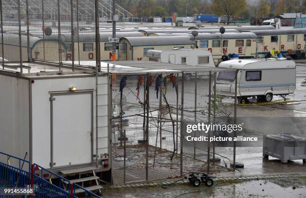 Parrots from Circus Krone sitting in their cage in Stuttgart Bad Cannstatt, Germany, 12 November 2017. According to a spokesperson of the circus, the...