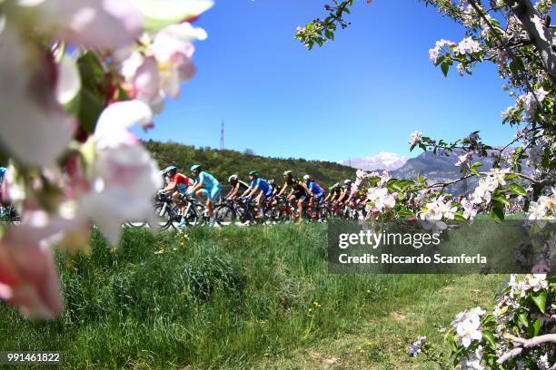 39Th Giro Del Trentino-Melinda 2015/ Stage 2Illustration Illustratie/ Peloton Peleton/ Landscape Paysage/ Lake Lac/Arco - Brentonico /Tour Trentino/...