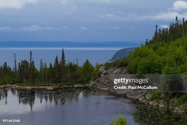 infinity pond - mccollum stock pictures, royalty-free photos & images