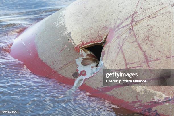 The freighter "Mount Hope" is lying at anchor with damage on its bow in the harbour of Brake, Germany, 13 November 2017. A few days earlier the ship...