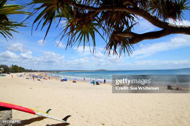 queensland winter beach days - noosa beach fotografías e imágenes de stock